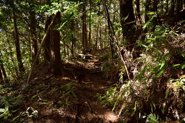ジョージア エメラルドマウンテンブレンド