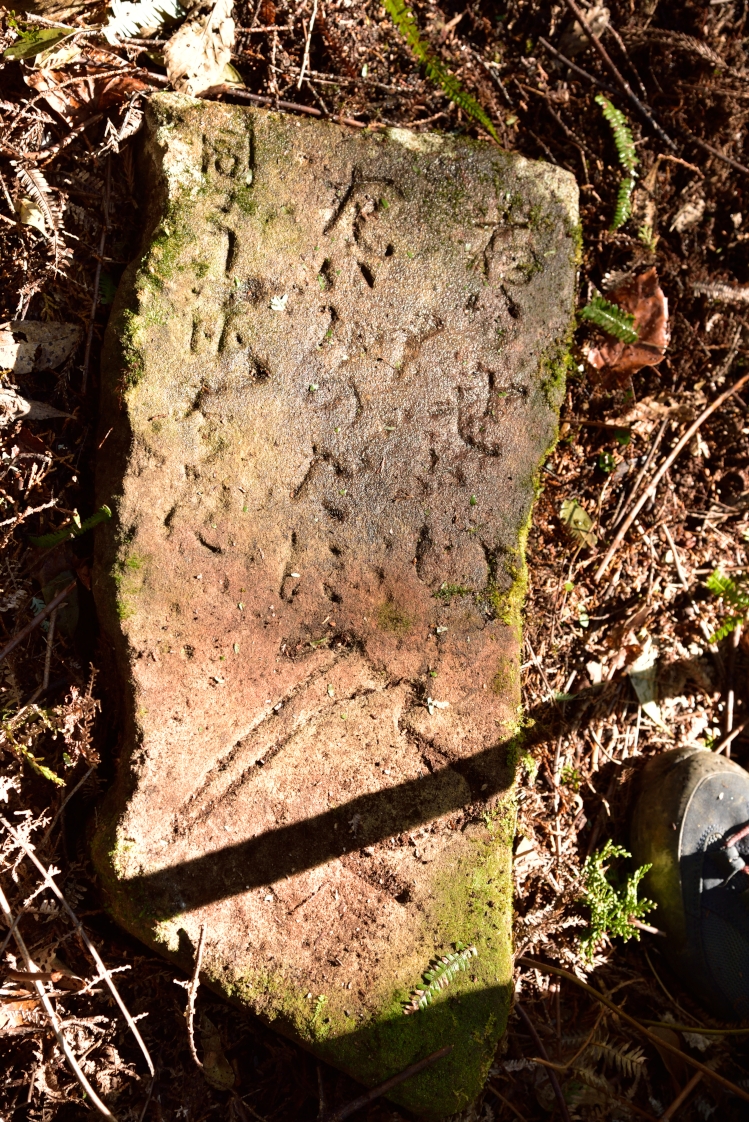 蓑尾谷瀬井請川道標