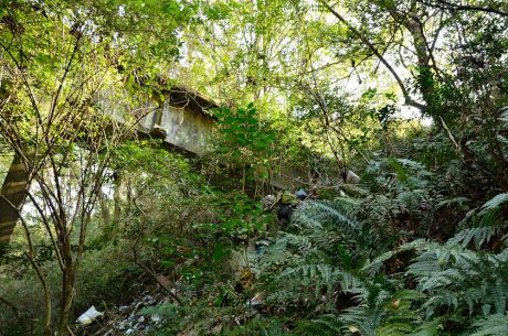 鹿背山トンネル付近橋梁