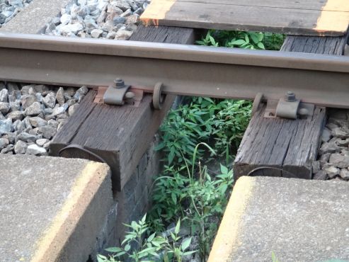 菖蒲池第三号踏切近く